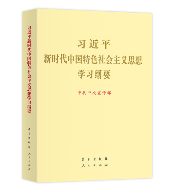 习近平新时代中国特色社会主义思想学习纲要大字 图书批发