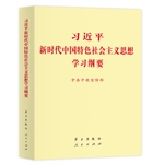 习近平新时代中国特色社会主义思想学习纲要小字 图书批发网